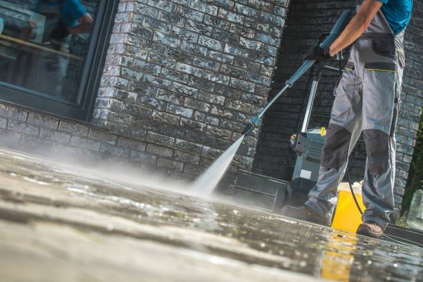 Best Animal Enclosure Cleaning  in , GA